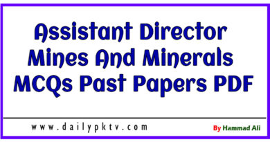 Assistant Director Mines And Minerals